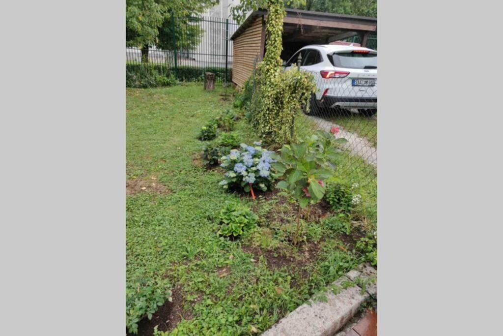 Villa Hortensia Ljubljana Exteriör bild